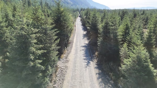 Calls for province to take over detour route between Youbou and Bamfield, citing safety concerns