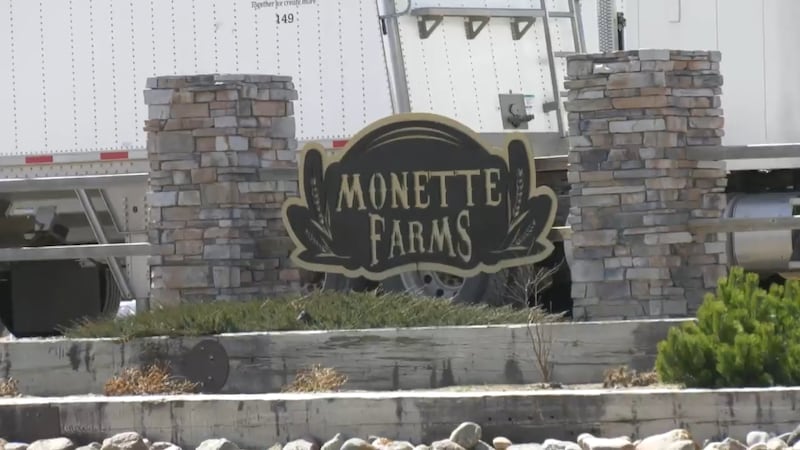 Sask. based Monette Farms files for court protection amid restructuring