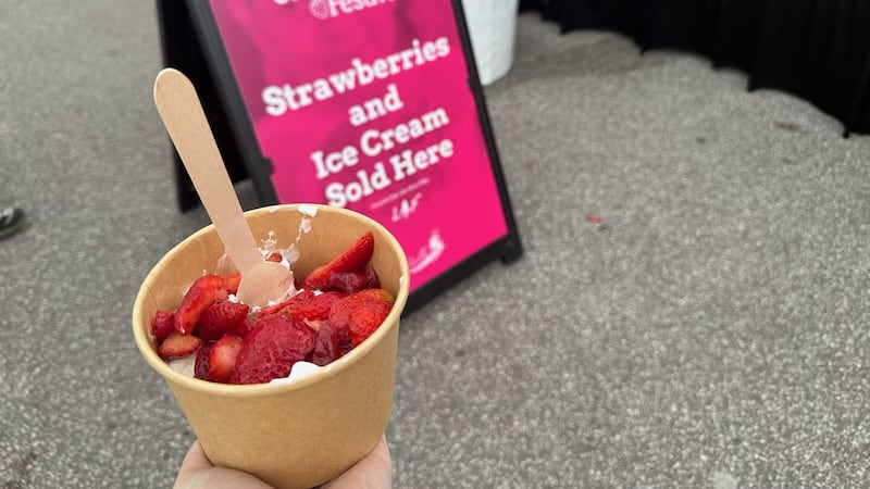 Bad weather blamed for attendance dip at the LaSalle Strawberry Festival