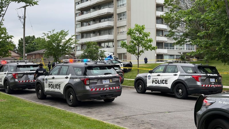 Police investigating homicide after North York brawl leaves pedestrian fatally struck by vehicle