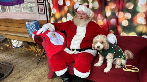 A white dog wearing a green sweater sits next to Santa Claus on a red couch.
