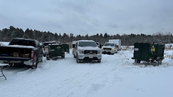 Seized hybrid wolf-dogs moved to licenced Ontario facility