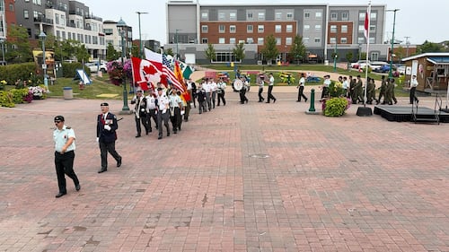 A military parade is pictured.