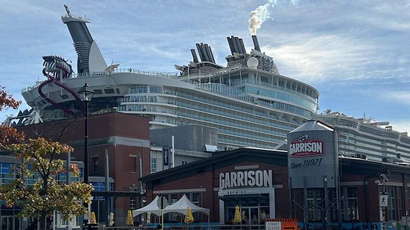 Thousands packed for the Bahamas … but ended up in Canada. Now they’re having a blast