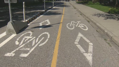 Alberta’s bike lane complaint portal to inform fall legislation
