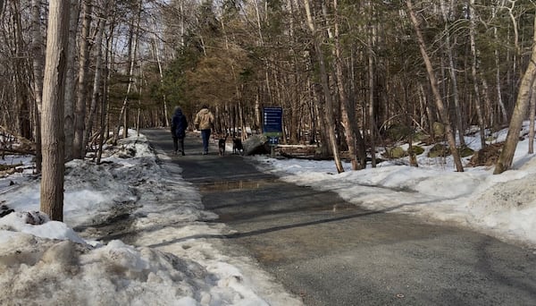 ‘We need to do something’: Halifax wants Nova Scotia to create dangerous dog registry