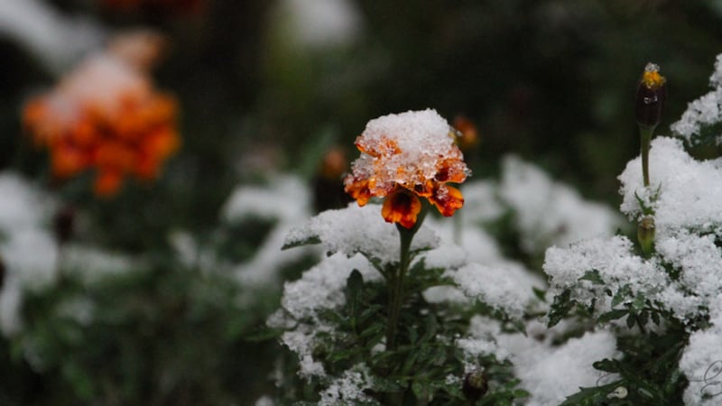 Forest City to see below seasonal temperatures Sunday, Monday