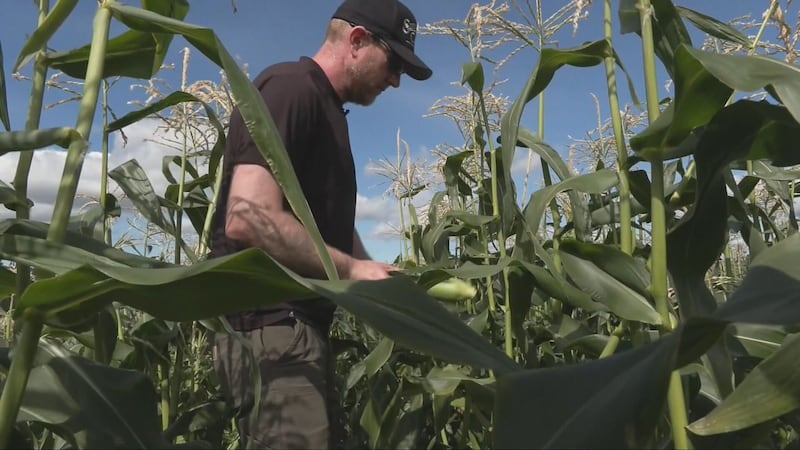 Central Saanich farm marks hundred-year milestone as family-run business