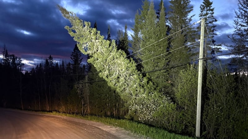 Power restored to most of central Ontario, some still in the dark Monday
