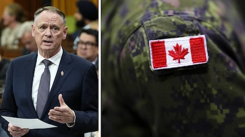 Defence minister not ruling out mixed fighter jet fleet as Canada reviews F-35 purchase