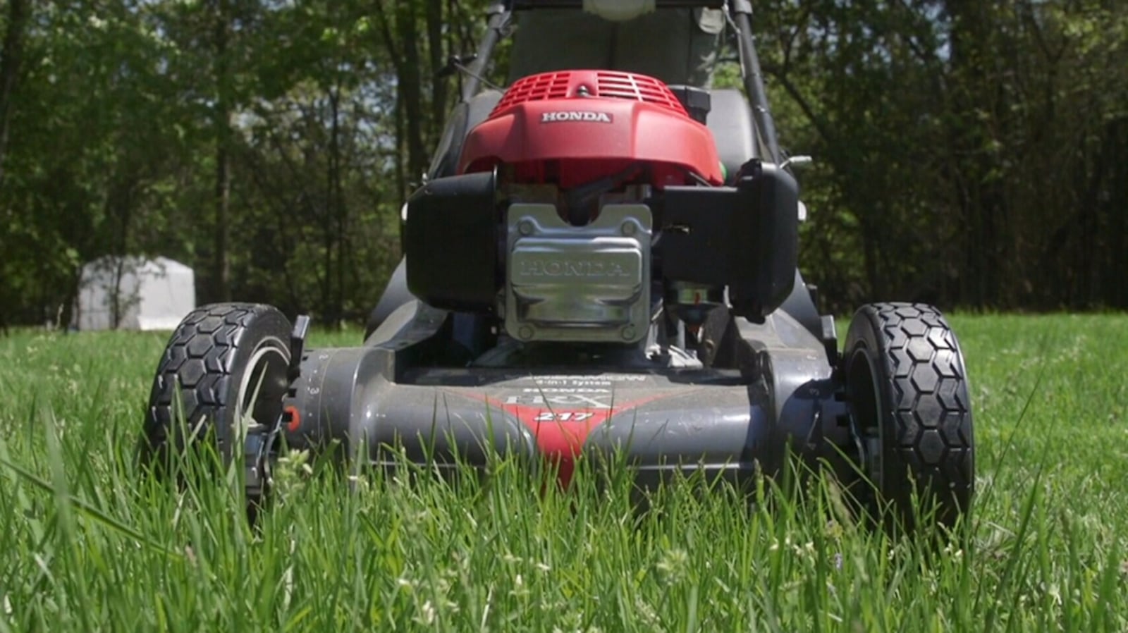 Why leaving clippings behind is actually good for your lawn – CTVNews