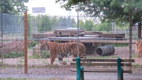 Real cost of some roadside zoos is more than the price of admission