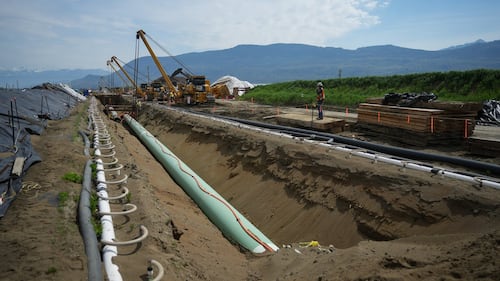 Former minister says energy project review changes could cause further delays