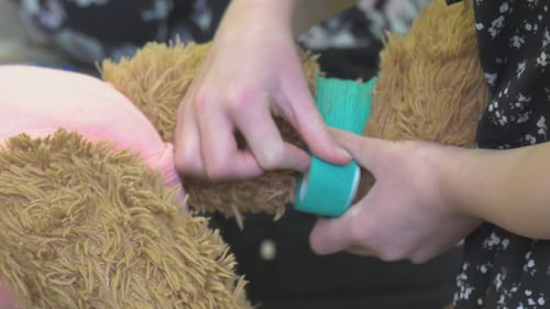 Children and their stuffed animals attend a teddy bear clinic at the Spruce Grove Public Library on March 27, 2026. (Sean McClune/CTV News Edmonton)