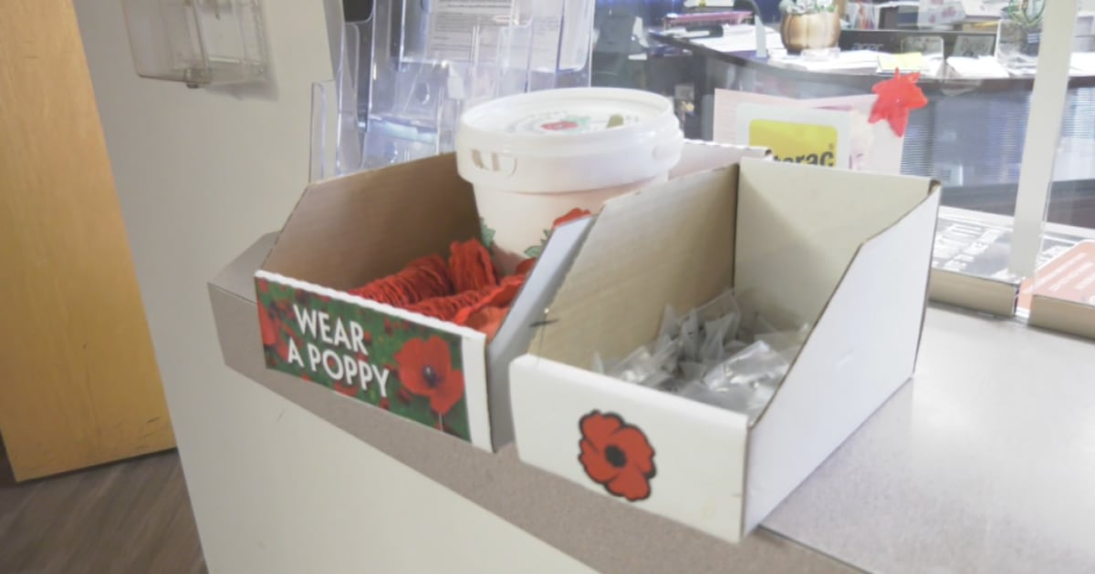 Poppy Boxeuse 'Sadly, it happens every year': 2 poppy boxes stolen from Edmonton drug ...