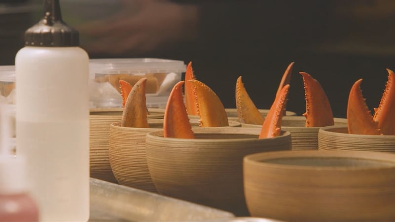 Here are the Quebec restaurants that made the 2026 Michelin guide