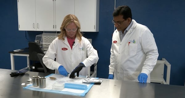 ‘Minimize the damage’: Race to study MSX heats up as deadly disease hits Maritime oysters