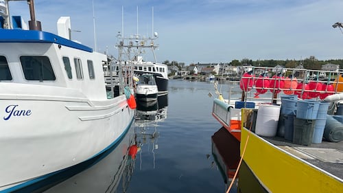Record-high diesel prices in Canada drive up costs for lobster and seafood industries