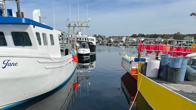 Record-high diesel prices in Canada drive up costs for lobster and seafood industries