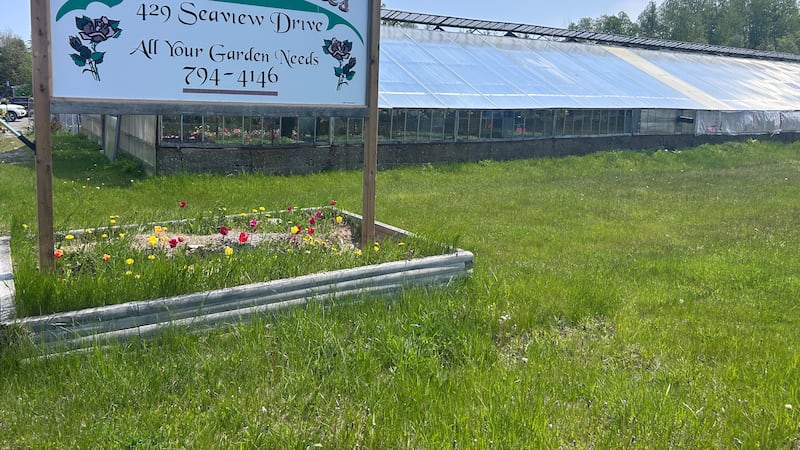 ‘It’s been slow starting’: Cold, wet spring has delayed growing season for gardeners