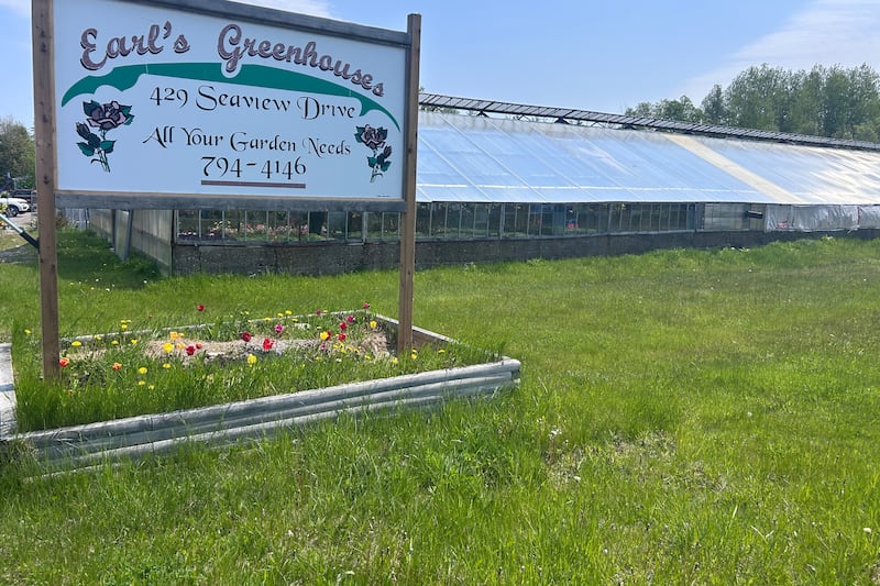 ‘It’s been slow starting’: Cold, wet spring has delayed growing season for gardeners