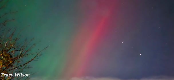 The northern lights are seen in Moncton, N.B., on Nov. 11, 2025. (Submitted: Tracy Wilson)