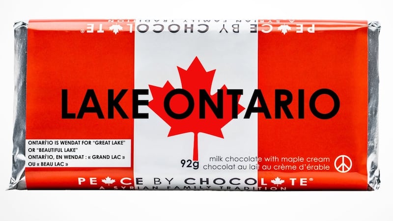 When U.S. President Donald Trump renamed Lake Ontario, this company couldn’t ignore the antagonism