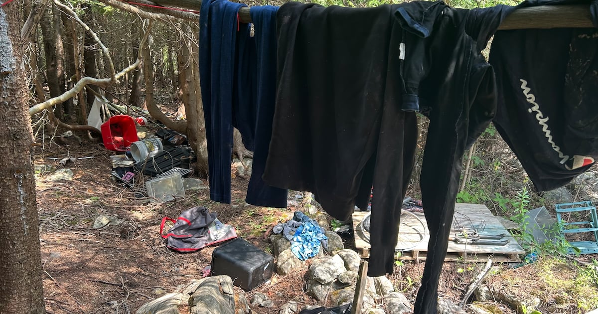 ‘I need answers': Saint John woman seeks help for encampment on her property