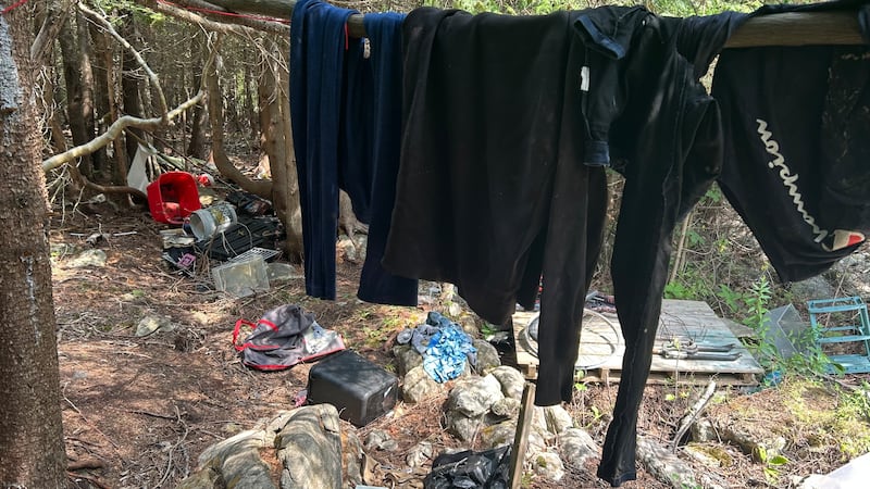 ‘I need answers’: Saint John woman seeks help for encampment on her property