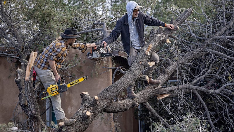 Flood-weary U.S. Southwest eyes forecast for more rain