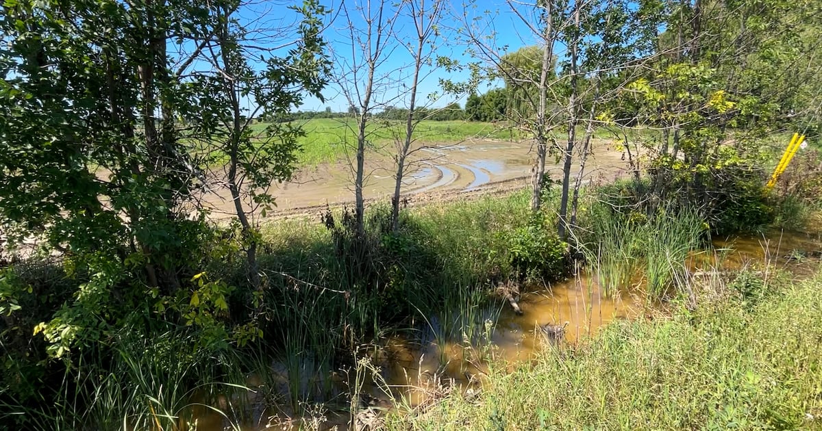 Ottawa's wettest July on record takes toll on local farm