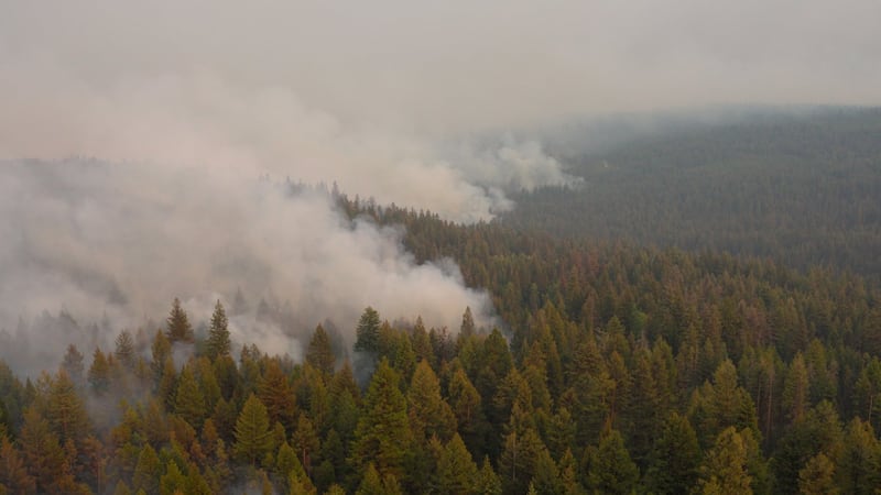 Wildfire near Summerland, B.C., remains active as residents return