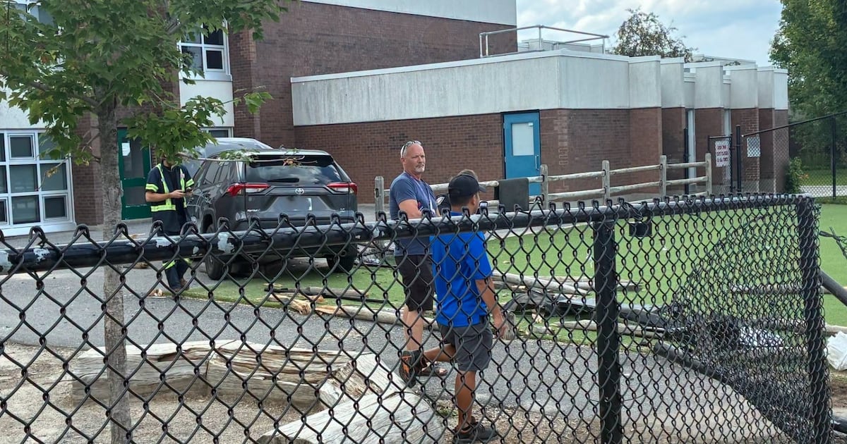Calls for Vehicle Barriers Near School Following Accident