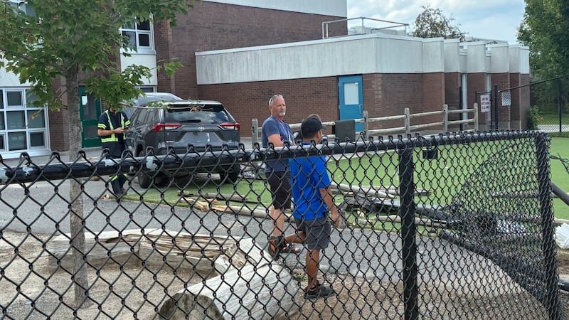Parents, councillor call for barriers after vehicle crashes through schoolyard