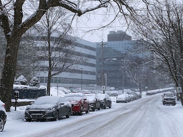 A light snow is pictured on the ground in Sydney, N.S., on Jan. 26, 2026. (CTV Atlantic / Darryl Reeves)