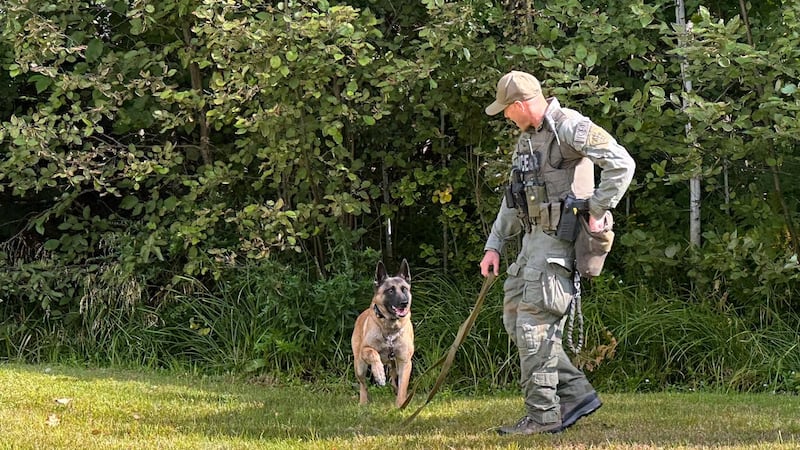 North Bay OPP's second annual K9 demo