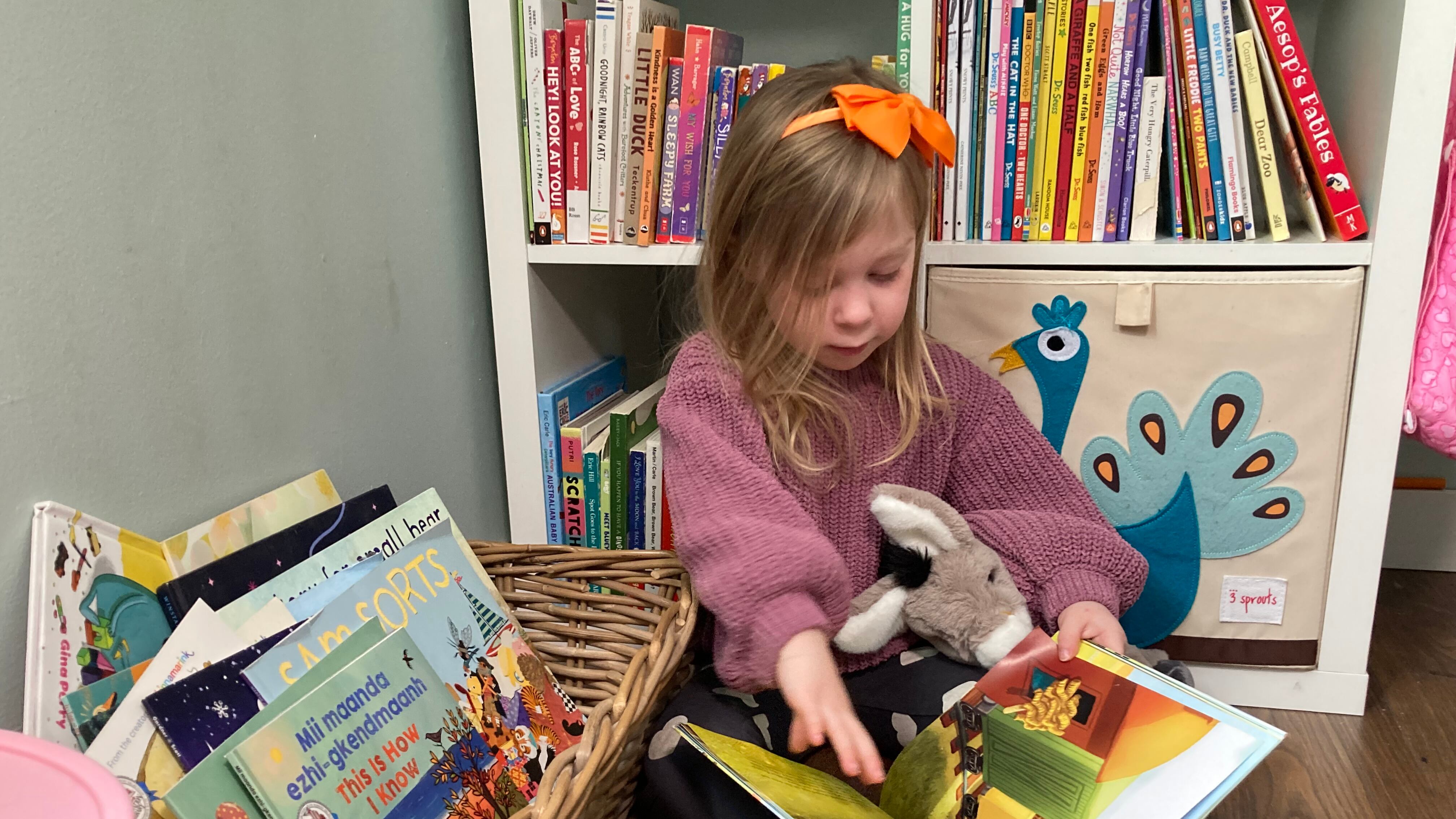 Simcoe Library Dolly Parton library in Simcoe County improves early literacy