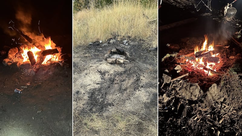 $21,850 in illegal campfire fines issued in B.C.