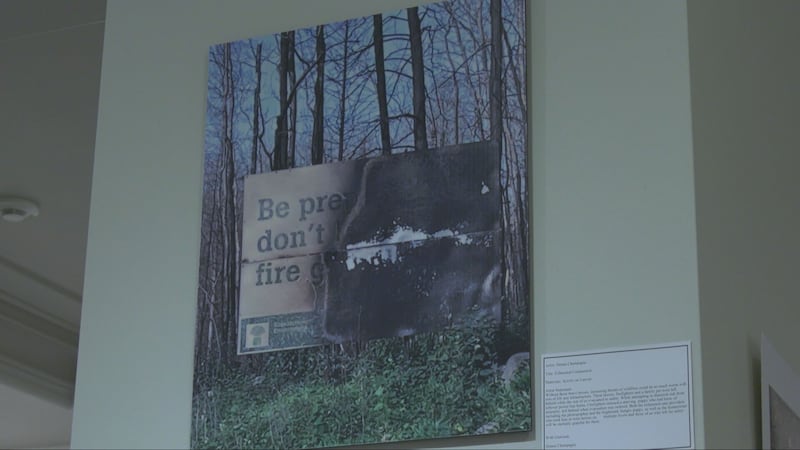 Denare Beach residents share wildfire recovery through art
