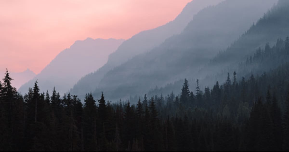 Smoke from B.C., U.S. wildfires triggers Fraser Valley air quality warning