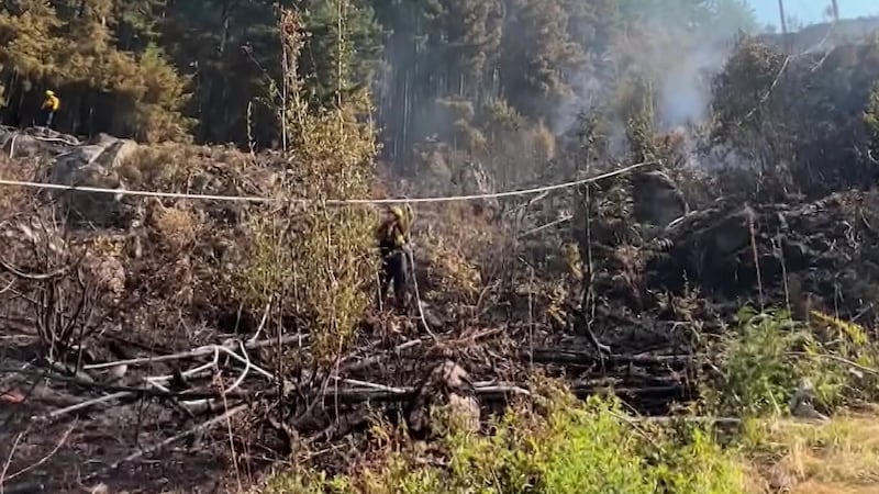 Police seek witnesses in Metro Vancouver wildfire investigation