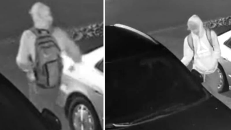 Mounties seek suspects after ‘numerous’ thefts from vehicles near Victoria