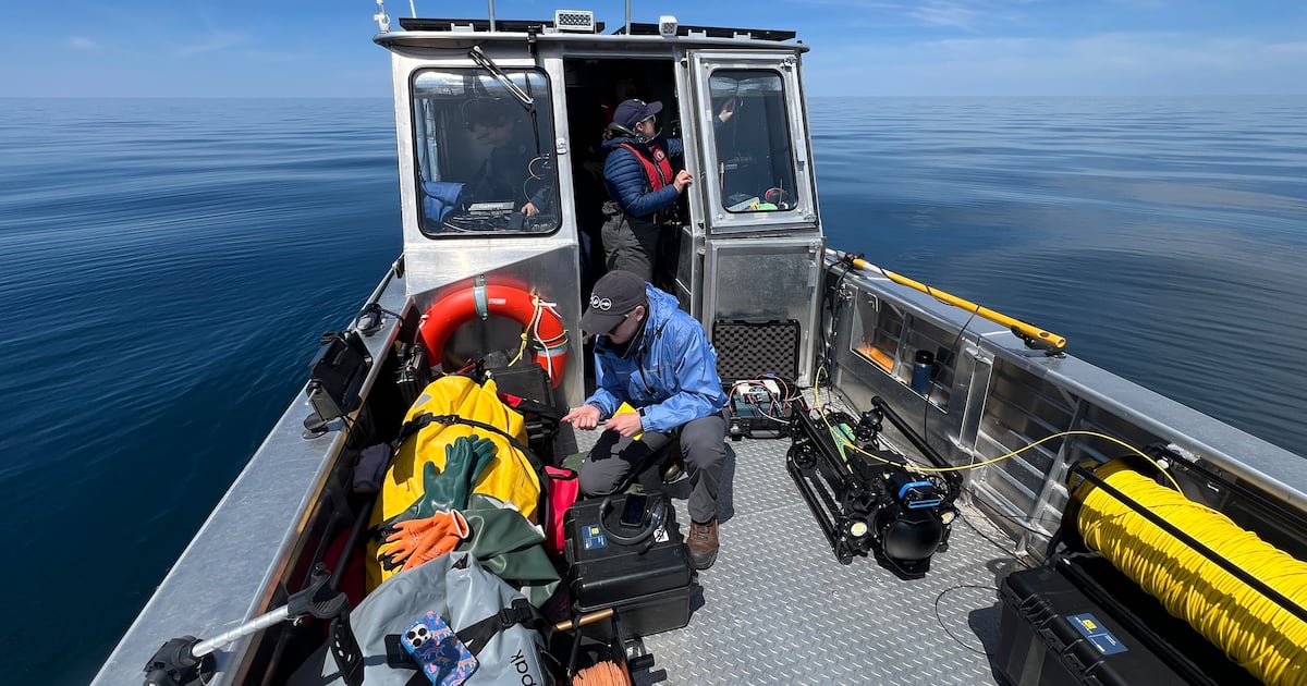 Discovering the giants swimming in the depths of the Great Lakes - CTV News