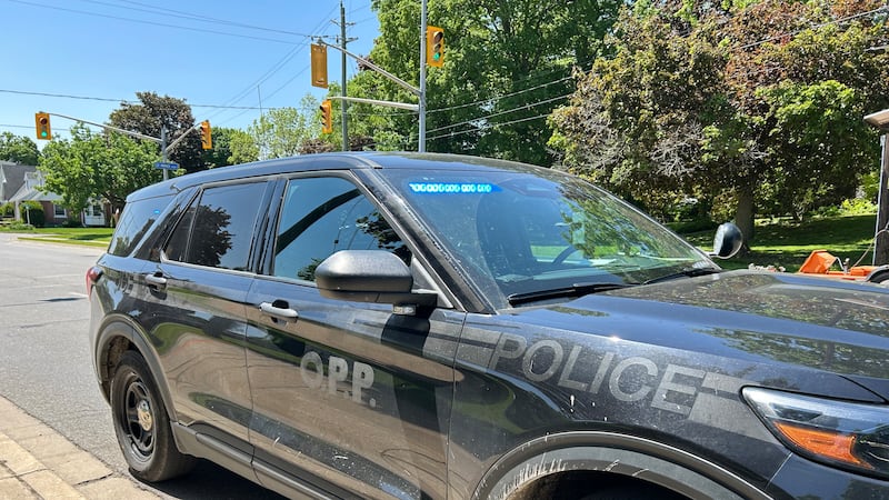 No injuries in school bus collision on Highway 17