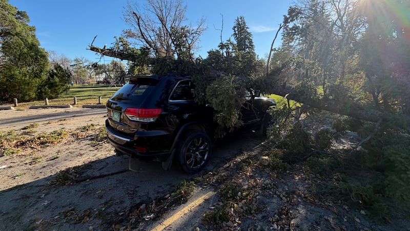 Weekend storm whips Saskatchewan with wind, snow and outages
