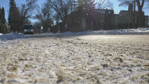Could starfish help de-ice our roads? One Montreal suburb is betting on it