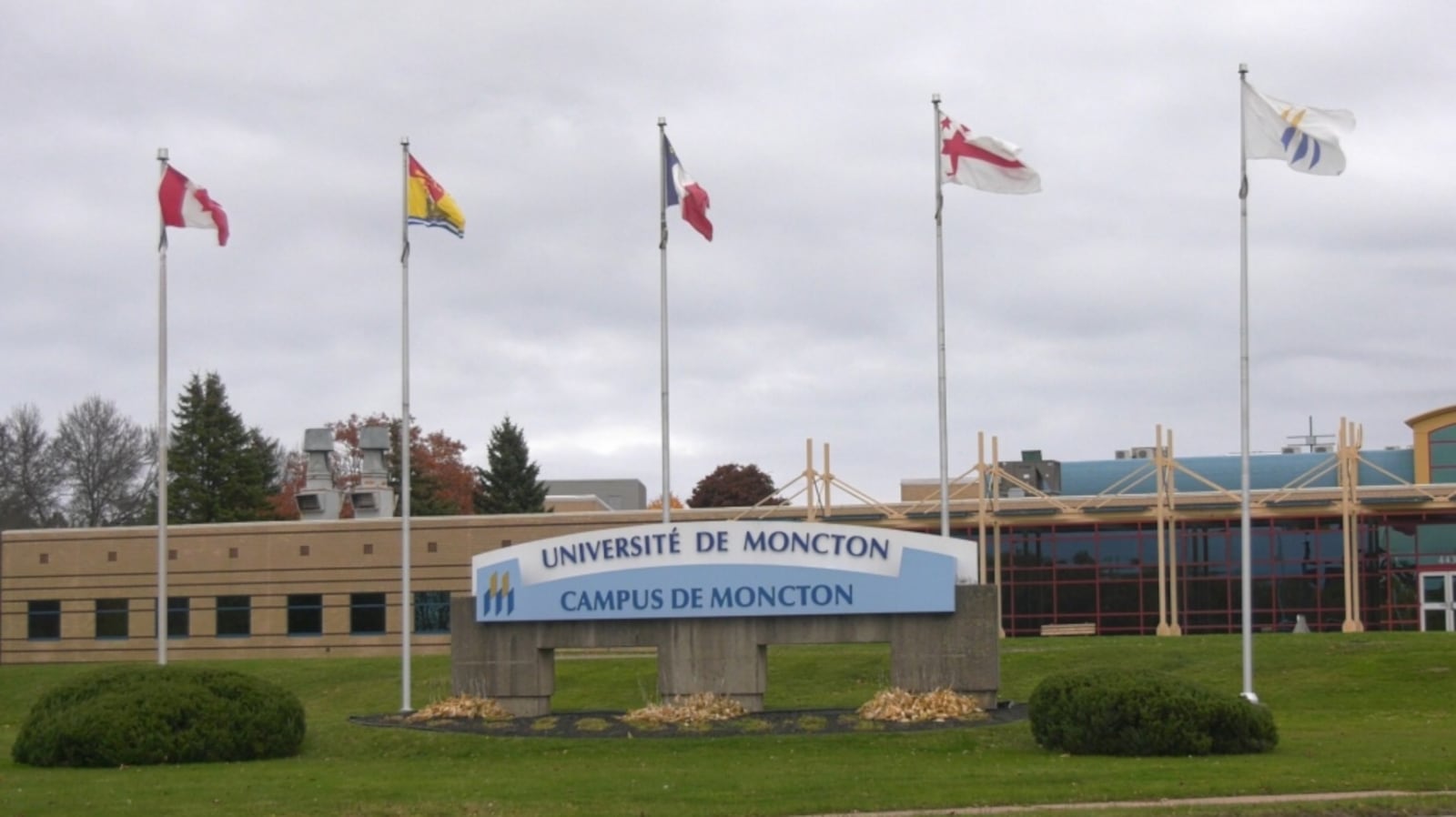 Cyberattack leaves Universite de Moncton website offline 10 days later
