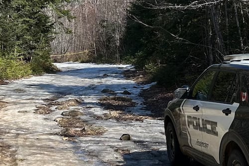 Human remains found after Fredericton fire in March identified as 50-year-old woman