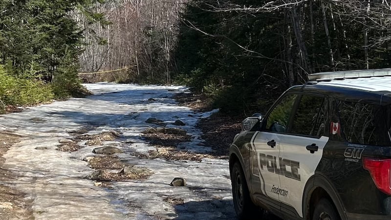 Human remains found after Fredericton fire in March identified as 50-year-old woman