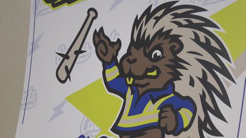 Prospects no more: Energy City Cactus Rats new name for area baseball team